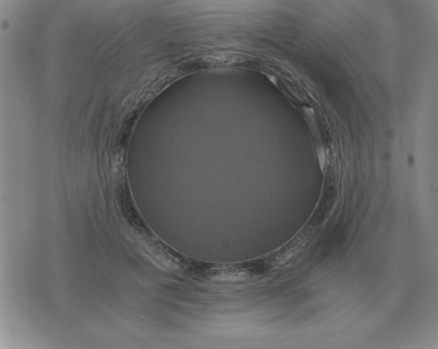 X0000075860601200610061939