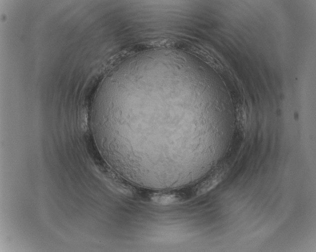 X0000075860602200610061939