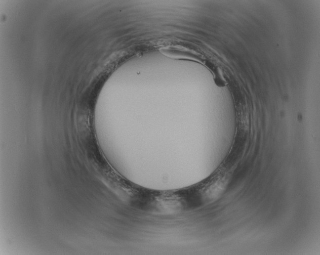 X0000075860603200610061939