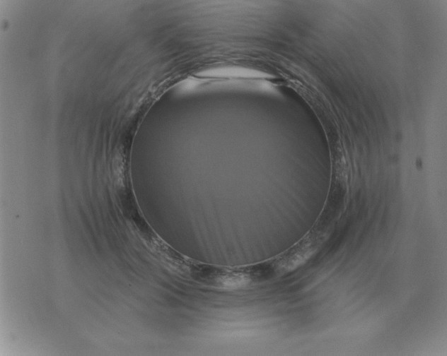 X0000075860604200610061939