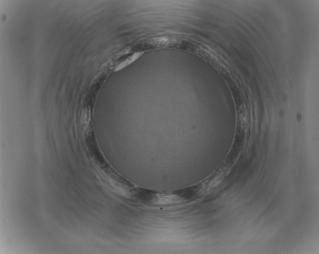 X0000075860605200610061939