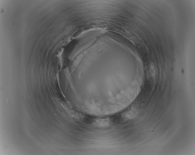 X0000075860606200610061939