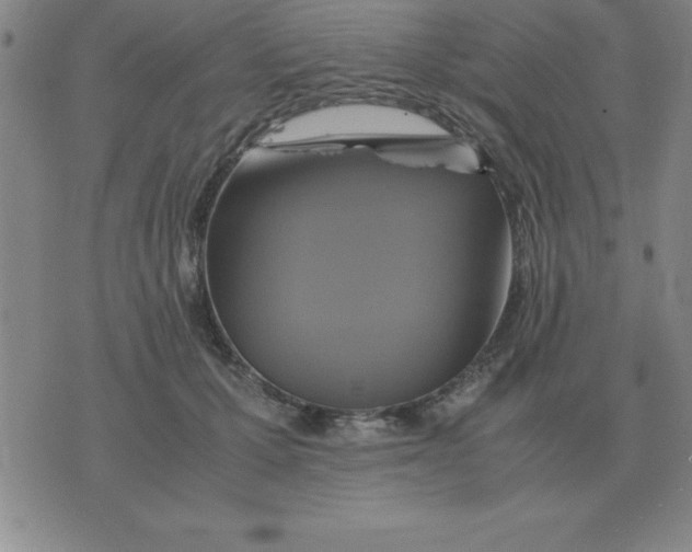 X0000075860607200610061939