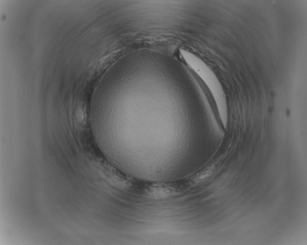 X0000075860608200610061939