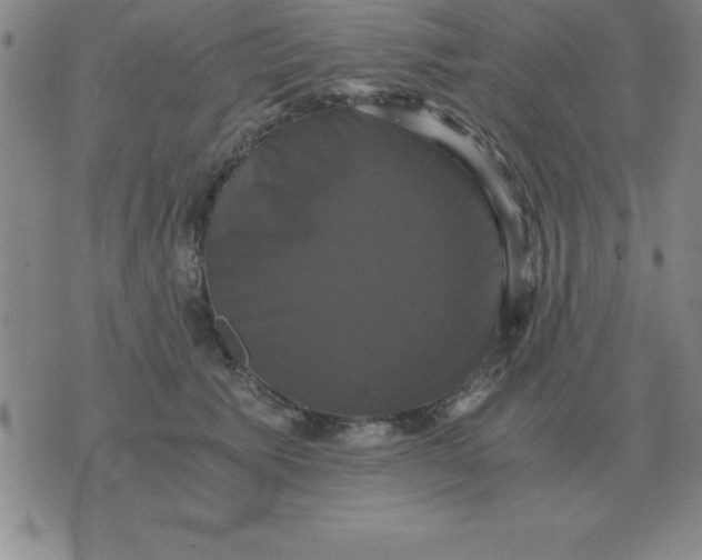 X0000075860609200610061939