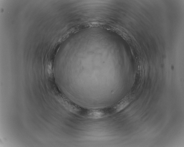 X0000075860610200610061939