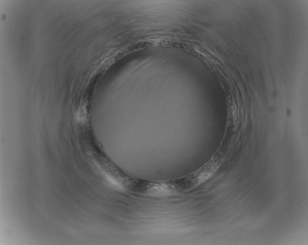 X0000075860611200610061939