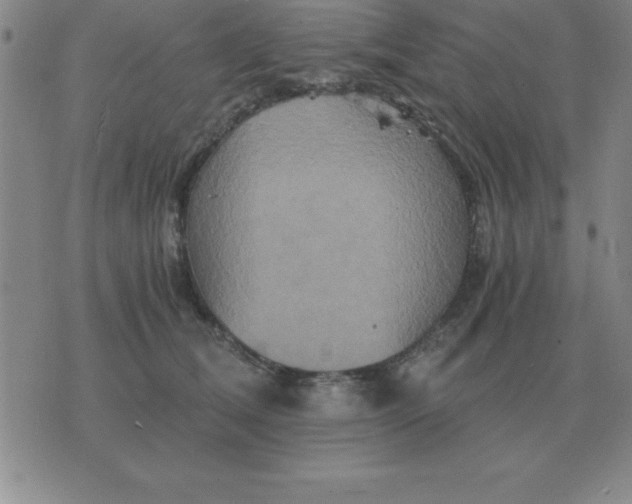 X0000075860612200610061939