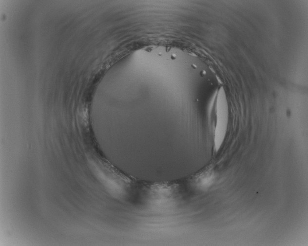 X0000075860613200610061939