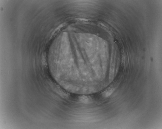 X0000075860616200610061939