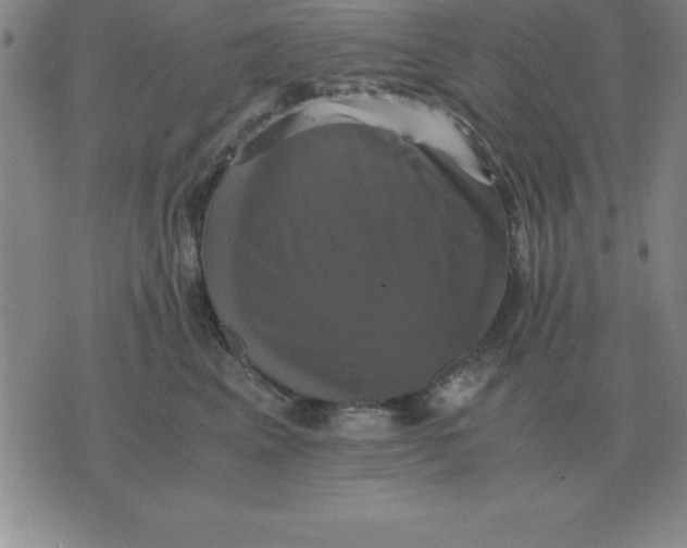 X0000075860617200610061939