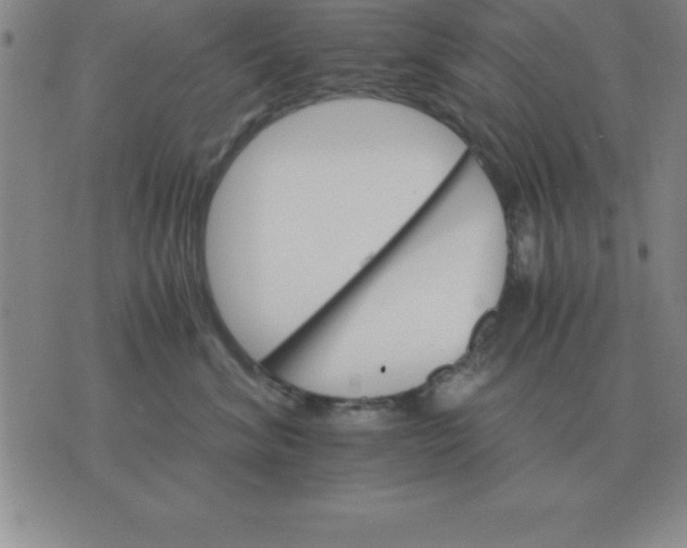 X0000075860620200610061939