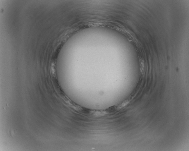 X0000075860621200610061939