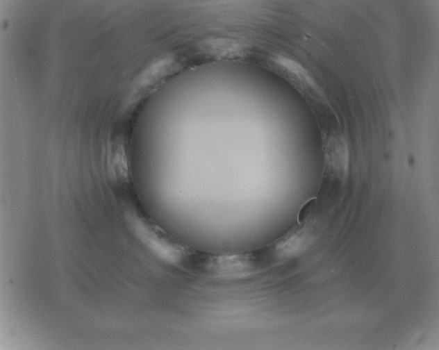 X0000075860622200610061939