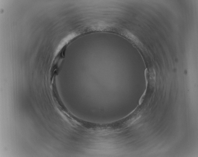 X0000075860626200610061938