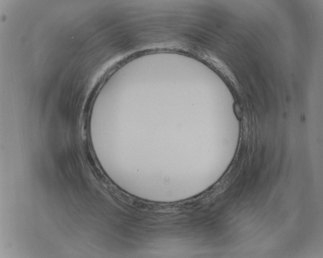 X0000075860628200610061938