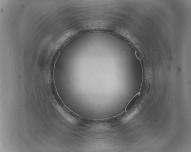 X0000075860629200610061938