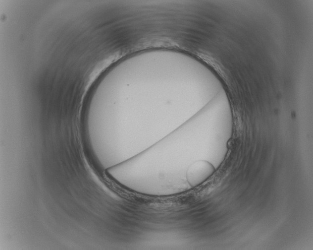 X0000075860630200610061938