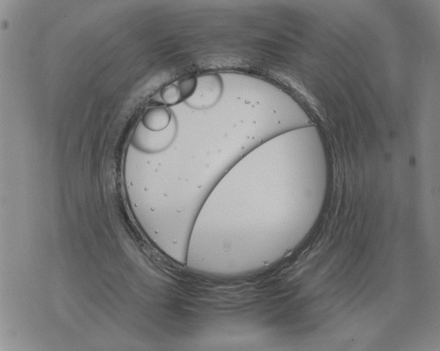 X0000075860631200610061938