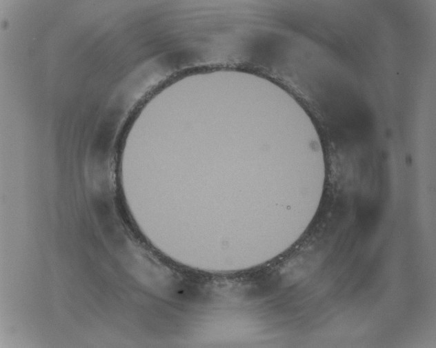 X0000075860632200610061938