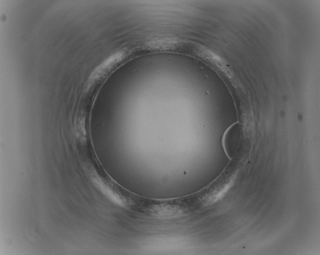 X0000075860633200610061938