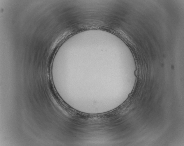 X0000075860634200610061938