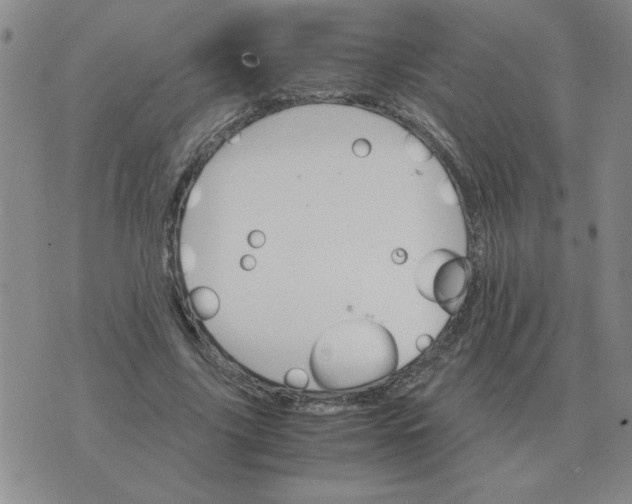 X0000075860635200610061938