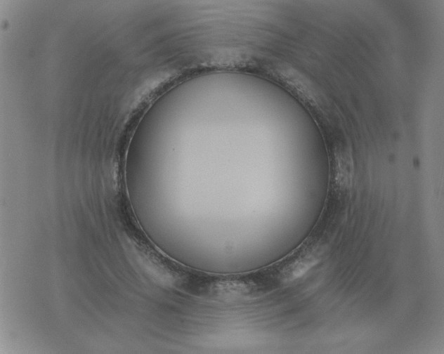 X0000075860636200610061938