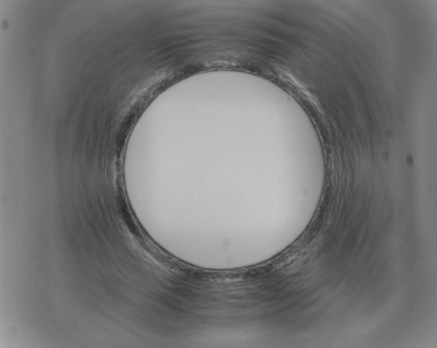 X0000075860637200610061938