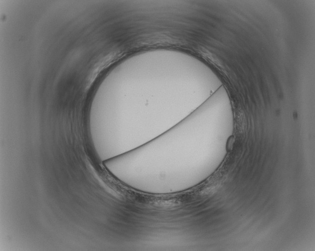 X0000075860638200610061938