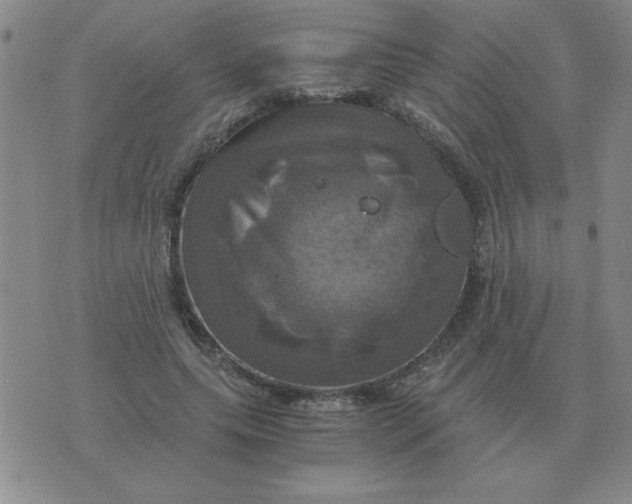 X0000075860639200610061938