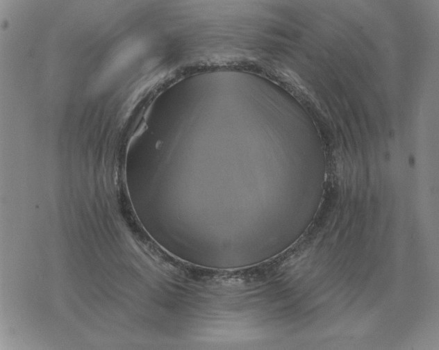 X0000075860640200610061938