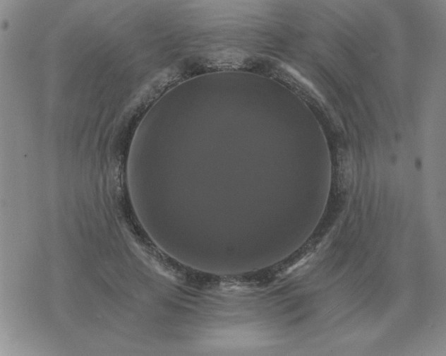 X0000075860641200610061938