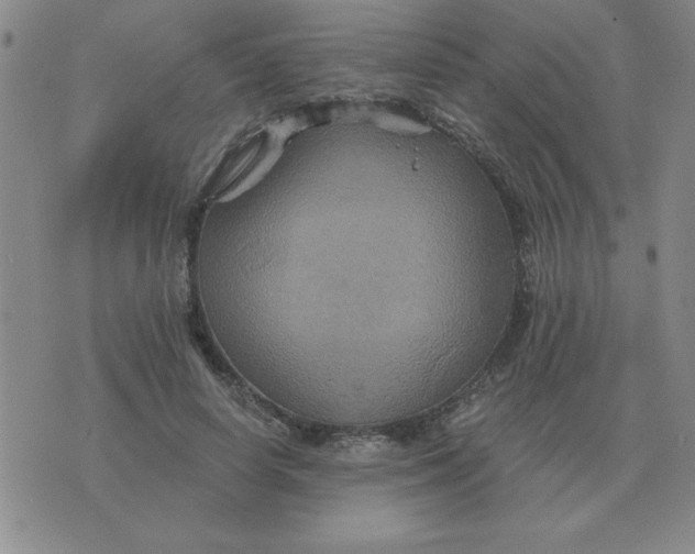 X0000075860642200610061938