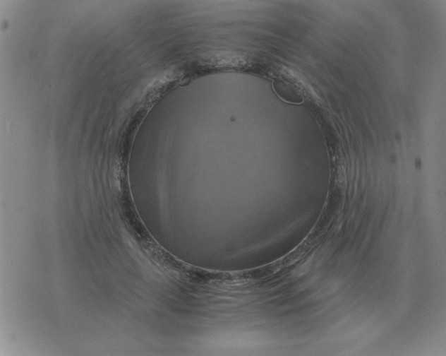 X0000075860643200610061938