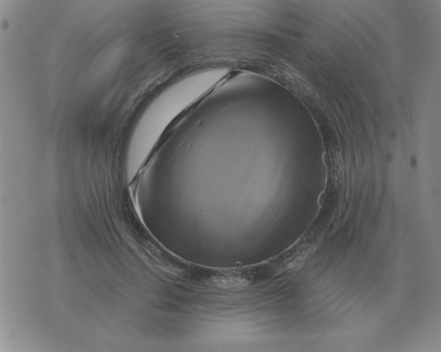 X0000075860644200610061938