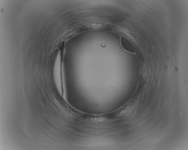 X0000075860645200610061938