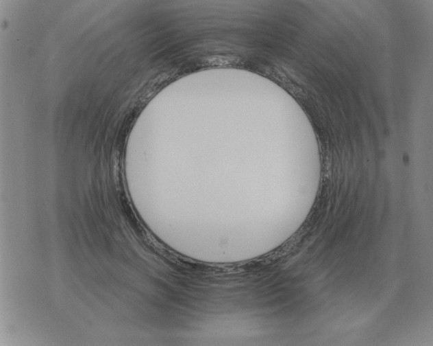 X0000075860646200610061938