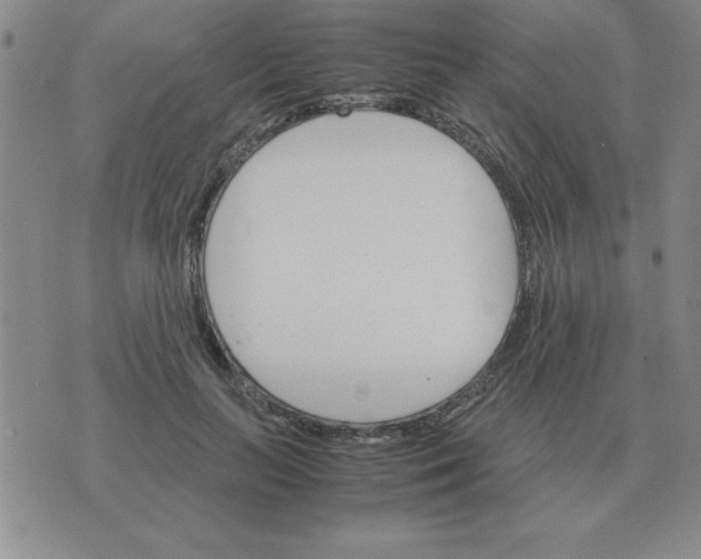 X0000075860647200610061938