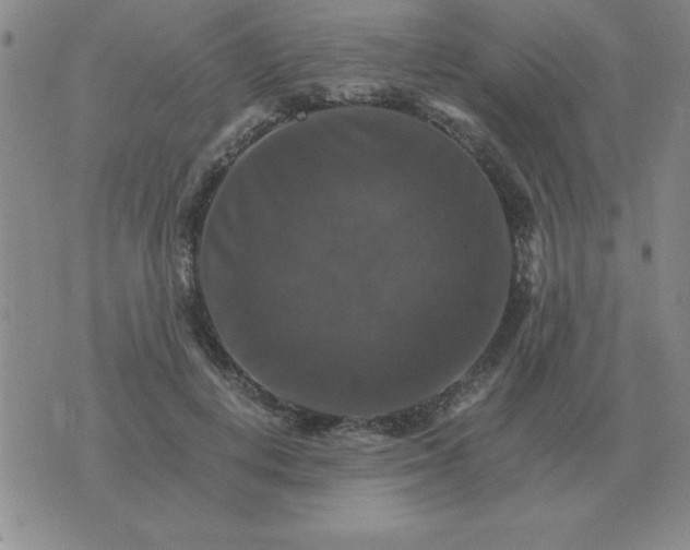 X0000075860648200610061938