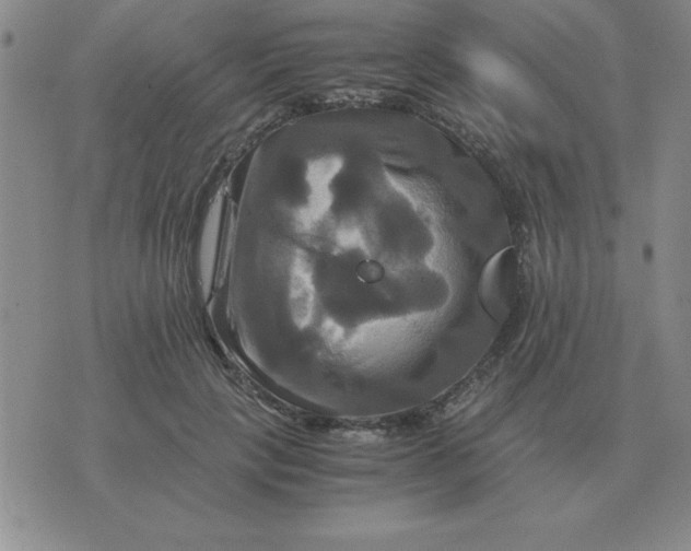 X0000075860649200610061938