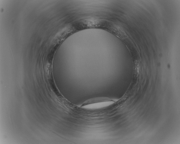 X0000075860650200610061938