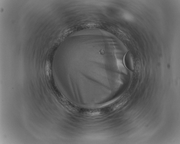 X0000075860651200610061938