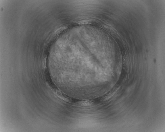 X0000075860652200610061938