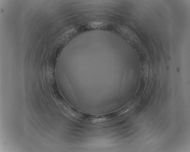 X0000075860653200610061938