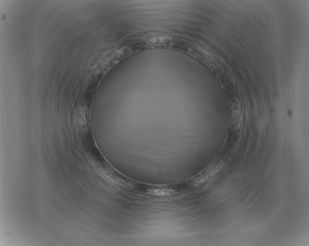 X0000075860654200610061938