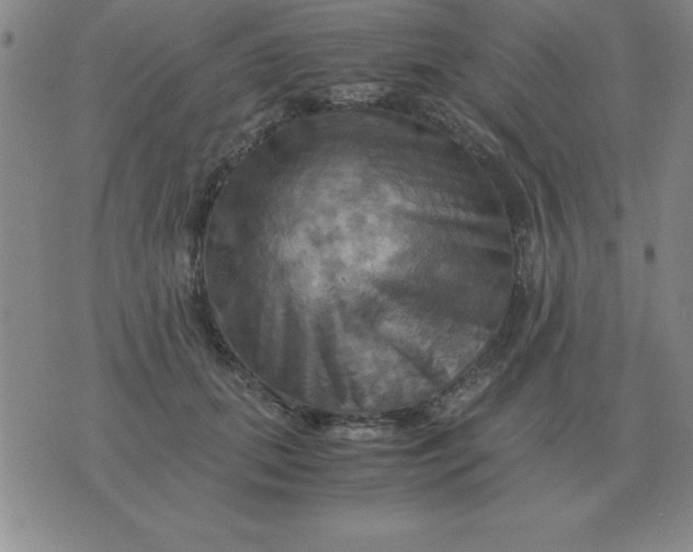 X0000075860655200610061938