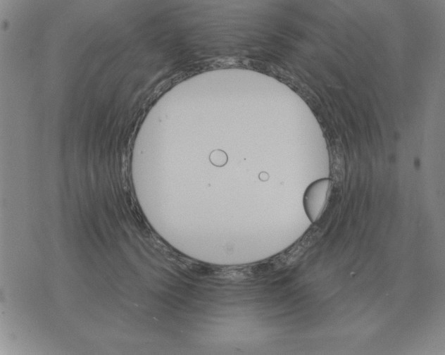 X0000075860656200610061938