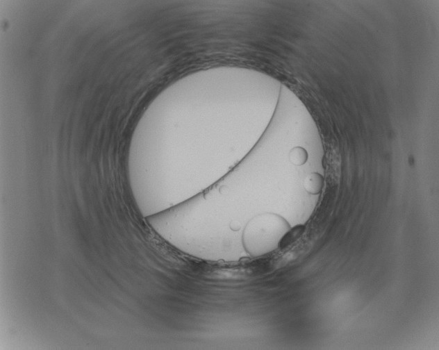 X0000075860657200610061938