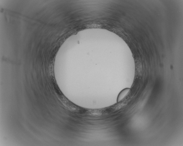 X0000075860658200610061938